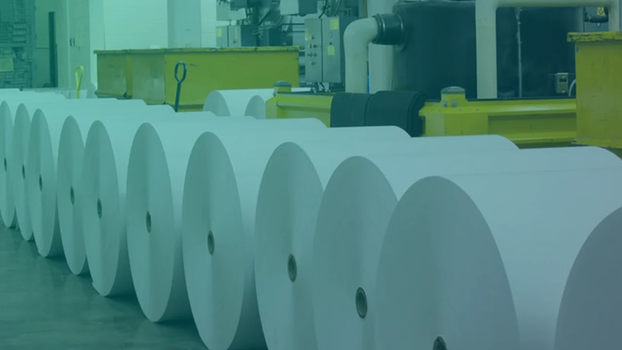 Imagen destacada de Entrevista Torraspapel Leitza: digitalización industrial