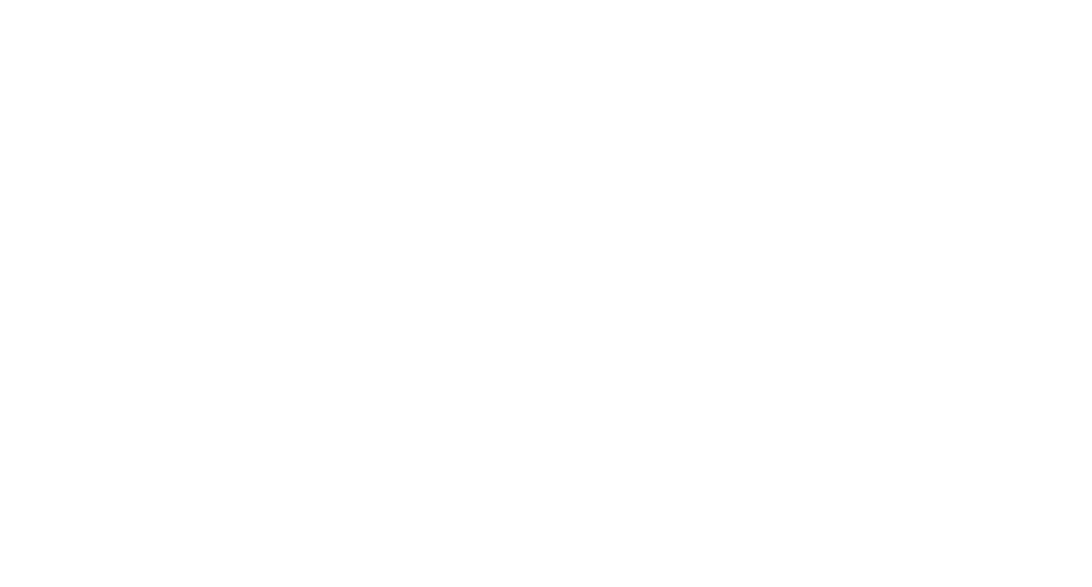 Plan Zero Defects Lite