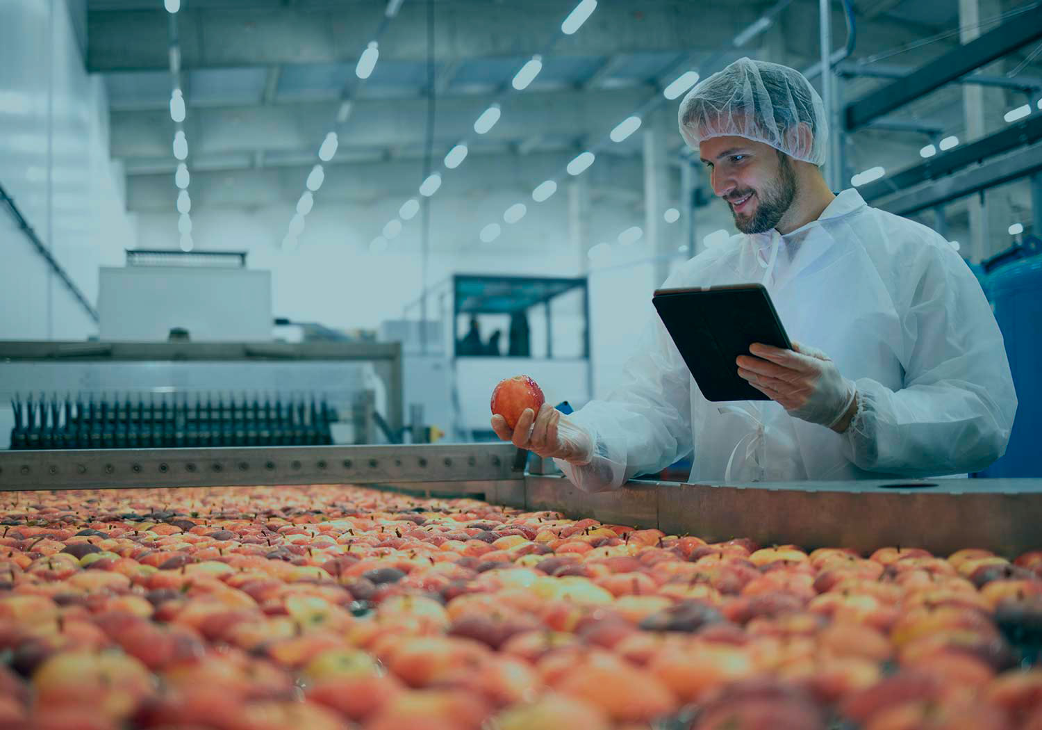 Imagen de Ayudas a la Inversión en Industrias Agroalimentarias (Navarra)