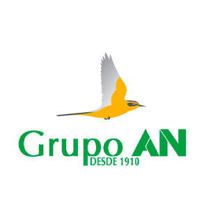 Logo de Grupo AN