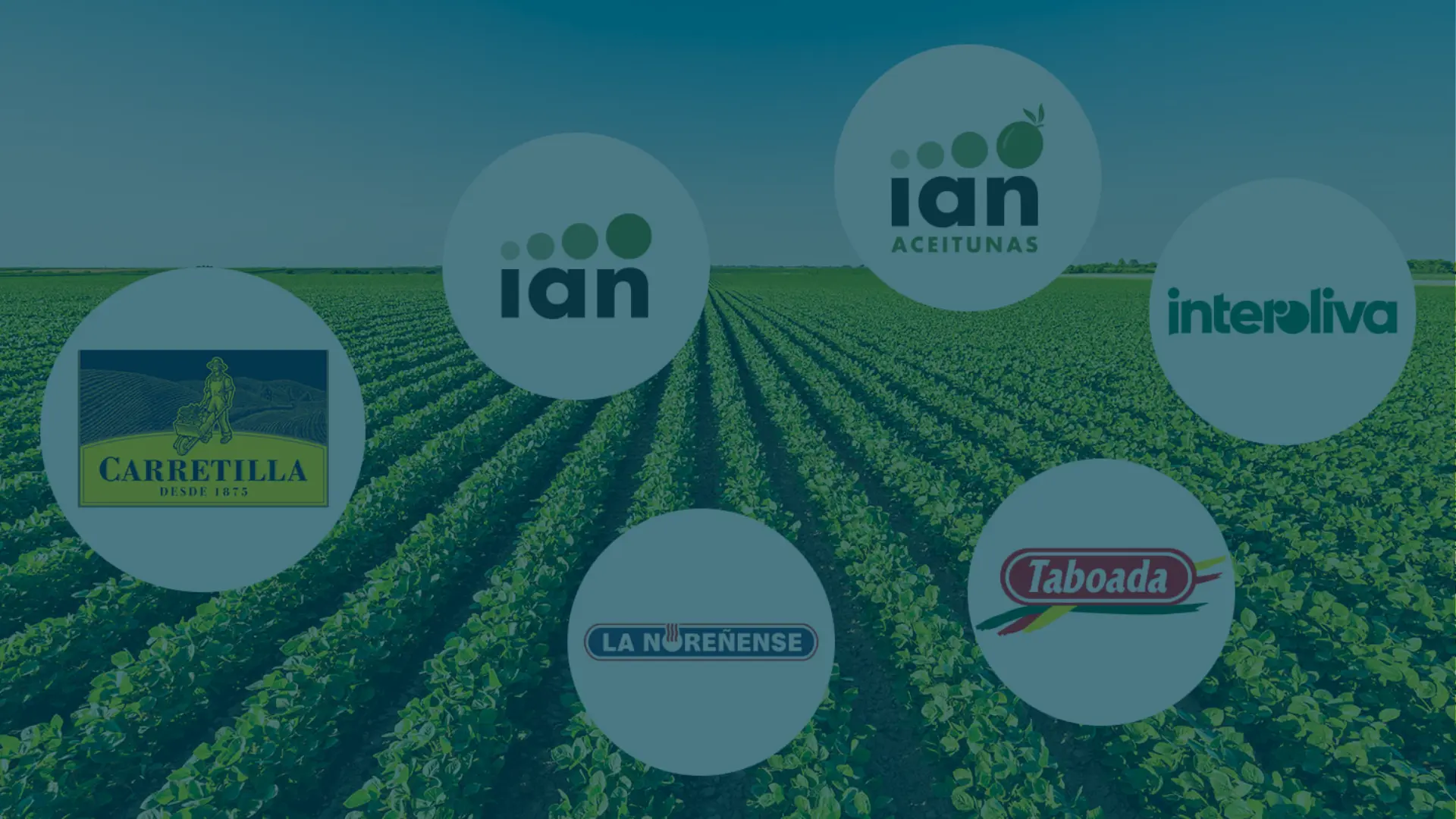 Imagen destacada de Grupo IAN: “Hemos conseguido tener el conocimiento de la planta”